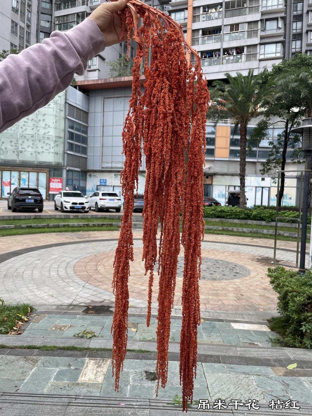 微信图片_20220502122006.jpg