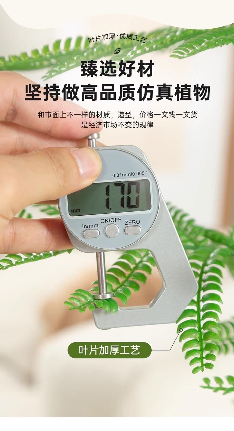 详情图片_11.jpg