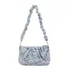 Bolso Pequeño de Diseño de Nicho para Mujer 2023 Nuevo Bolso Cruzado de Moda Verano Cadena Plegado Hombro Axila