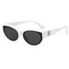 Gafas de sol de moda europea y americana de caja pequeña personalizada, estilo similar para mujer, gafas de sol de celebridad de Internet, gafas de hombre para Hip Hop, discoteca, street style