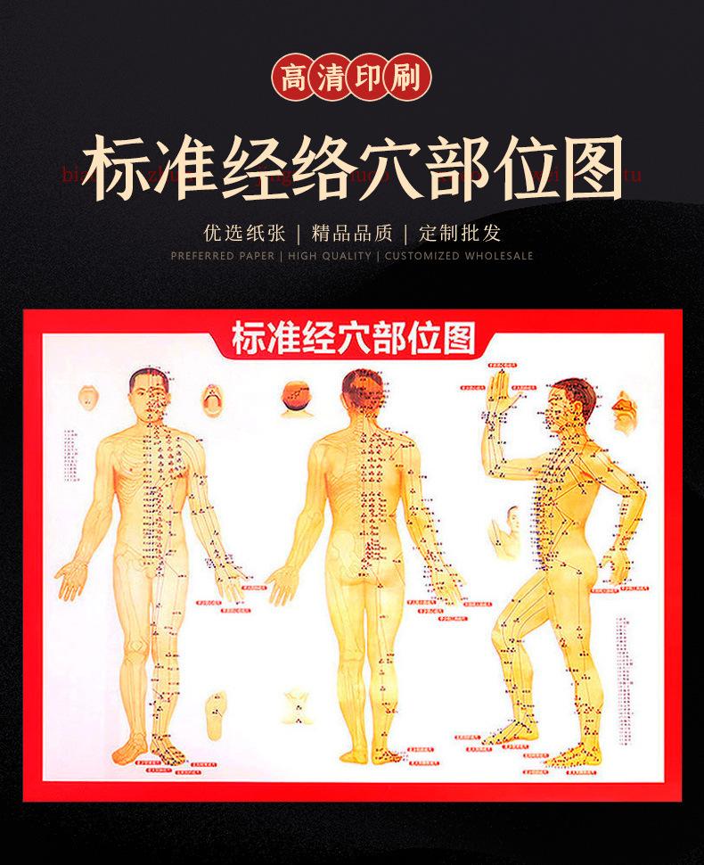 穴位图_01.jpg