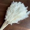 Yunnan fonte atacado pequeno junco dandrug flores secas mistura pó flores secas grama rabo de coelho grama gema junco flores secas