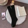 Meias beges slouch miu para mulheres, primavera e outono, algodão puro, estilo balé, branco, borda de cogumelo, meias de cano médio, para usar com sapatos Birkenstock, na altura da panturrilha