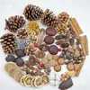 Fruta Fixa Natural Planta Fruta Casca Espécime Material Decoração Flores Secas Fatias Jardim de Infância DIY Pacote de Material de Natal