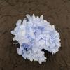 Hortensia Inmortal a Granel Hortensia Anna a Granel Pétalo Flor Seca Flor Inmortal Material Hecho a Mano Decoración Accesorios de Regalo