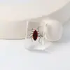 Especímenes Delgados de Insectos Reales, Adornos de Escritorio de Animales Reales, Escorpiones, Tortugas Doradas, Cigarras, Materiales Didácticos para Niños, Manualidades de Resina