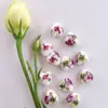 Calcomanía de Corazón de Melocotón Cuentas de Cerámica con Perlas Cuentas de Cerámica Estilo Chino Accesorios Hechos a Mano para DIY Pulsera Accesorios para Collar Material