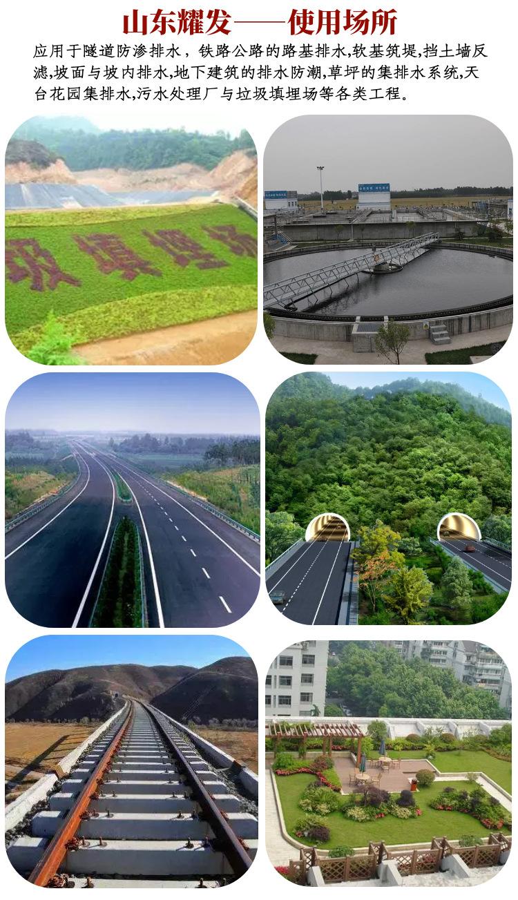 片材_10.jpg