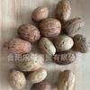 Brinquedos para Papagaios DIY Frutas para Roer para Aliviar o Tédio e Afiar o Bico, Frutas Secas Naturais Madeira Manga, Pode Ser Usado como Decoração de Casa