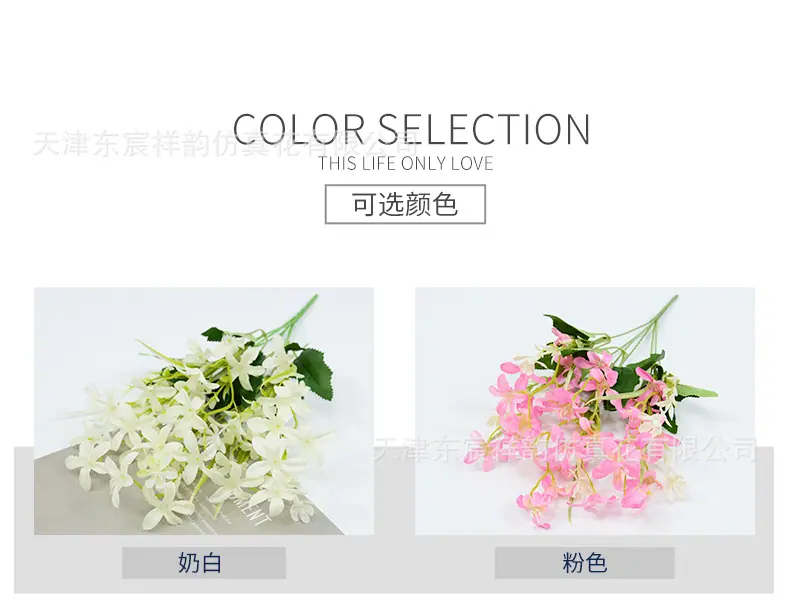 详情_02.jpg