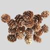 Materiais para Flores Eternas DIY no Atacado, Flores Secas, Frutas Secas, Laranjas, Rosas, Velas Perfumadas, Decorações para Fotografia e Enfeites
