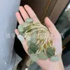 Colgante de Buda de Jade Hetiano Jadeíta Natural, Colgante de Cerradura de Nube Propicia de Calabaza Guanyin de Jade Hetiano, Colgante de Jade para Hombres y Mujeres