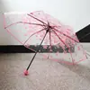 Guarda-chuva Transparente com Design de Gato Branco, Totalmente Automático, Estilo Anime, Manual, Fofo, Alto Valor Estético, Dobrável, para Influenciadoras Femininas, Crianças, Desenhos Animados, Estudantes