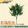 Grado B1 Retardante de Llama Ignífugo Plantas Artificiales Accesorios para Paredes Hojas Retardantes de Llama Manojos Pequeños Centro Comercial Pared de Plantas Verdes Decoración de Paisajismo