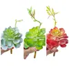 Flores de Loto Artificiales al por Mayor con Tallos, Flores Falsas, Plantas Verdes, Manualidades para Decoración de Bodas, Estilo Ins, Fabricante Transfronterizo