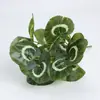 Parede de Plantas Artificiais Parede de Plantas Verdes Flor Folha Verde Combinando Decoração de Parede Folhas Coladas 5 Galhos Folhas de Rosa Verde Folhas de Sobrancelha