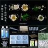 Planta seca flor coaster molde silicone abrasivo ferramenta em relevo cristal artesanal epóxi diy material resina AB cola caseira