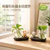 Novo ornamento de pesca de gato para decoração de mesa de escritório, garrafa de vidro hidropônico, presente criativo, pequeno ornamento de mesa