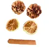 Flores secas canela limão pinha mix e match flores secas artesanais pequeno buquê fresco aromaterapia pacote de material DIY lembrança presente
