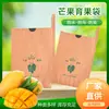 Atacado do Fabricante Impermeável Camada Dupla Bolsa para Cultivo de Frutas Manga Conjunto Saco de Papel para Frutas à Prova de Luz Jardinagem Bolsa para Cultivo de Frutas Manga Outros