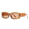 9250 Gafas de Sol Modernas Retro de Marca Grande INS Color Tinta Feng Shui Gafas de Sol Versátiles de Moda para Mujer Espejo Plano Anti-luz Azul