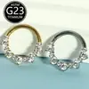 Brincos Cravejados com Zircônia em Liga de Titânio F136, Piercings de Nariz, Argolas Fechadas, Joias para Piercing Totalmente em Titânio, Itens em Estoque do Fabricante Vendidos Individualmente
