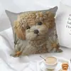 Funda de Almohada Serie de Animales Mascotas Lindos Populares de Amazon Transfronteriza Funda de Cojín Corto de Felpa Bordado Imitación para Sofá del Hogar