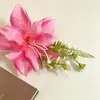 Horquilla de Phalaenopsis de Hada ~ Princesa Francesa Súper Hada Flor Horquilla Placa Horquilla Accesorios para el Cabello Ambiente Tocado Mujeres