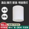 Focos Empotrados de Montaje Superficial Estilo Japonés, Luces LED de Techo Multiespecificación, Lámparas de Techo Redondas para Centros Comerciales, Edificios de Oficinas y Salones de Belleza, Focos Colgantes