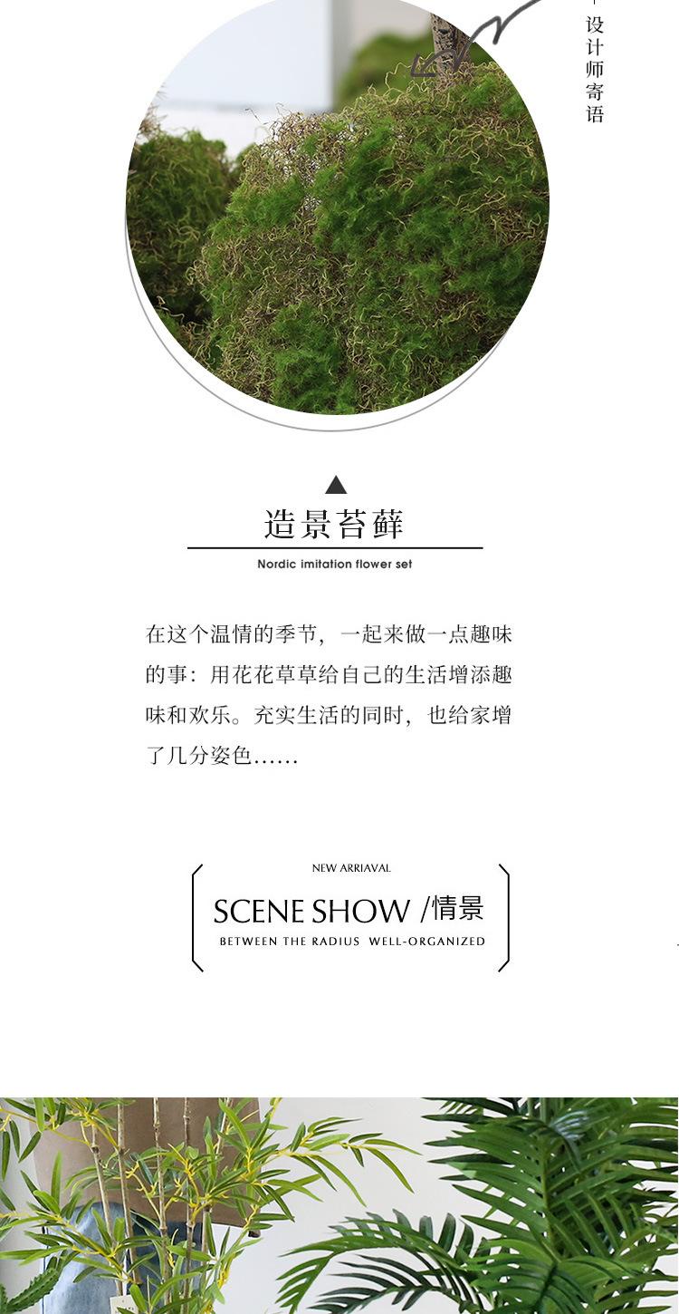 未标题-1_02.jpg