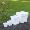 Maceta cuadrada poco profunda extra gruesa de especificaciones múltiples jardinería maceta de plástico cuadrada maceta para suculentas suculenta negra blanca transparente esqueje