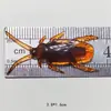 Brinquedo de Pegadinha Barata Plástico Adereço Dia da Mentira Decoração Assustadora Atacado