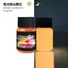Polvo Luminoso Fluorescente de Alto Brillo de Larga Duración de 12 Colores Transfronterizo Polvo Fluorescente Pigmento Luminoso Aceitoso para Manualidades con Resina Epoxi DIY 20g