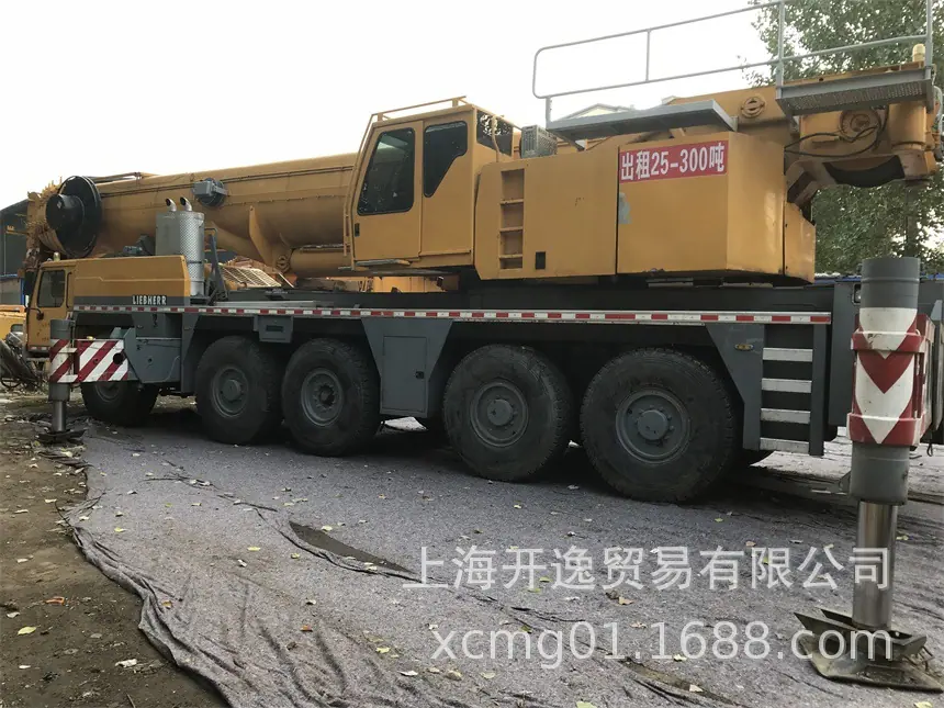 300t crane (5)