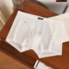 Calzoncillos tipo bóxer de Malla de Seda Satén con Encaje para Hombre, Transpirables, Antibacterianos, Ultra Delgados, de una Sola Capa, Hielo de Seda, 10A