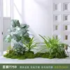 Planta de musgo artificial combinación de macetero para flores decoración de partición micro paisajismo planta verde biónica paisajismo interior bonsái