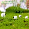 Adornos de Micropaisaje de Musgo de Oveja Adornos Artesanales de Resina de Algodón Materiales Decorativos de Resina DIY