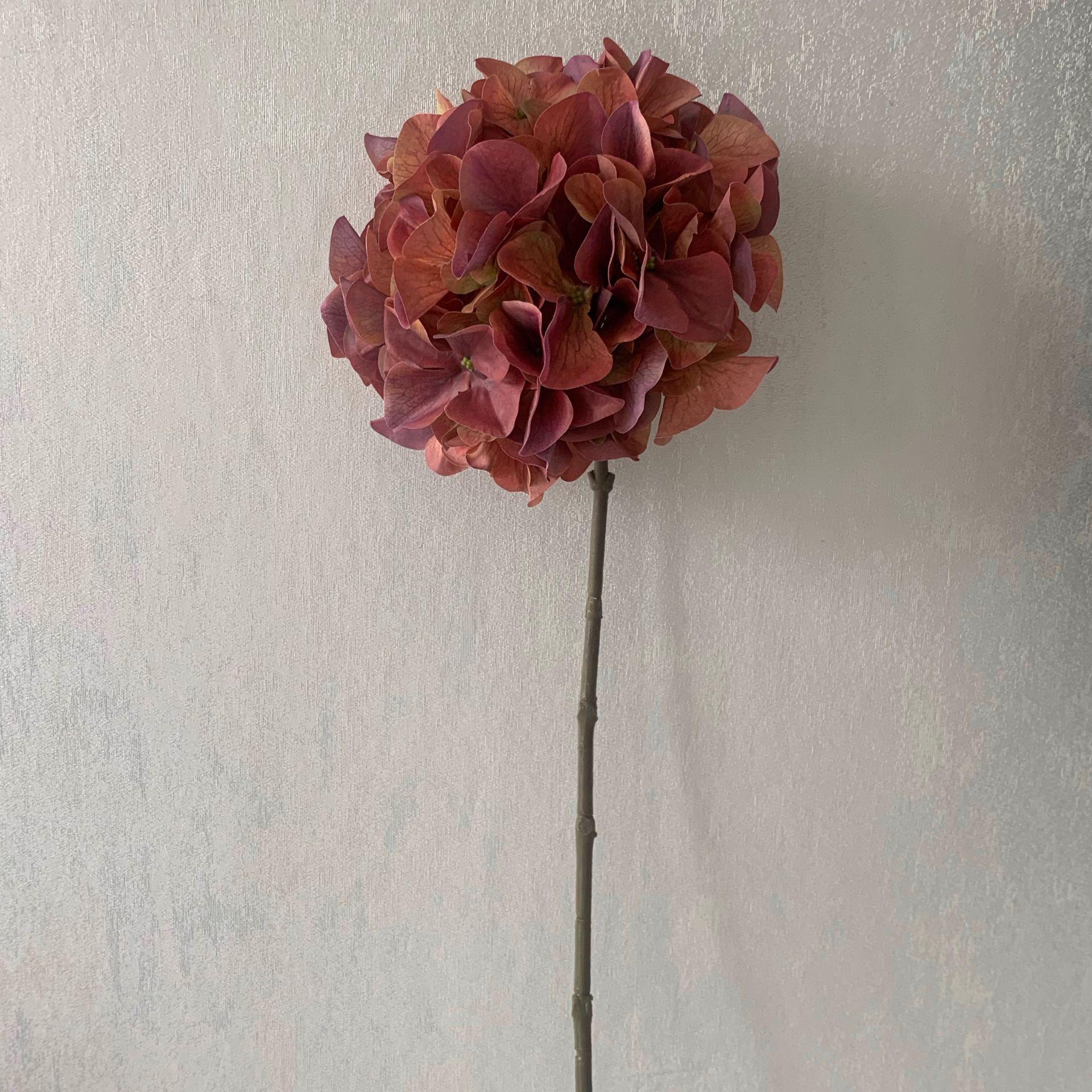 QQ图片20200426122141