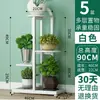 Soporte de Flores de Hierro de Pie Estante para Suculentas Estante para Macetas Multicapa Ahorrador de Espacio Interior y Exterior Sala de Estar Balcón Estante para Plantas Pothos