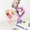 Ramo de rosas para el Día de la Madre regalo para novia, mamá, maestra, mejor amiga, regalo de cumpleaños, clavel flor de jabón eterna regalo creativo