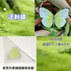 Borboleta abrindo materiais DIY feitos à mão borboleta original Nymphalidae prática real não original protozoário borboleta espécime inseto espécime com moldura
