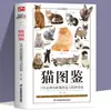 Mapa de Gatos 179 características e hábitos de gatos de raça pura mapa de gatos de estimação ciência popular de animais guia prático para criar gatos