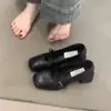 Zapatos de Mujer Retro Tacón Grueso Zapatos de Noche Primavera y Otoño Nuevo Estilo Zapatos de Salón Zapatos Pequeños de Piel 2026 Moda Francesa Zapatos Mary Jane