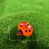 Musgo Luminoso Colorido Micro Paisaje Escena Papelería Decoración Accesorios para Joyería de Resina DIY Insecto Mariquita de Siete Estrellas