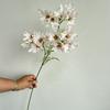 Flor artificial de pavo real, crisantemo polaco, decoración del hogar, boda, estilo pastoral, flor de seda, ramo de flores falsas, adornos al por mayor