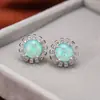 Deseo transfronterizo Moda Platino Azul Verde Rosa Redondo Aobao Pendientes de Flor Pendientes Elegantes para Mujer Combinan con Todo