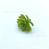 Planta de simulação planta de plástico acessórios para plantas aquáticas grama plana grande com flor de simulação feixe de planta aquática grama decorativa atacado