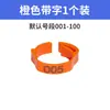 Anillos para Patas de Pollo con Etiquetas de Tamaño, Anillos de Plástico Ajustables, Etiquetas de Identificación para Pollo, Pato, Ganso y Aves de Corral