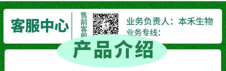 详情介绍