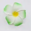 Fronteiriço 4/5/6/7/9 Multi-Especificação Frangipani Dai Flor Decorativa Frangipani Grampo de Cabelo Viagem Férias Galinha